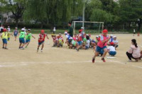 pict-IMG_4062