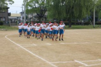 pict-IMG_4087