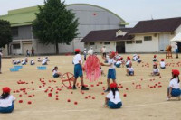 pict-IMG_4096