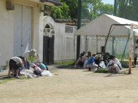 pict-IMG_3677