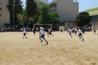pict-IMG_3979