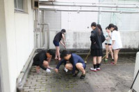 pict-IMG_3991