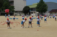 pict-IMG_4031