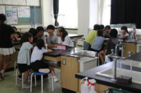 pict-IMG_4440