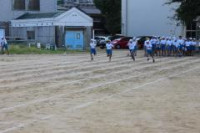 pict-IMG_4540