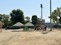 IMG_0701